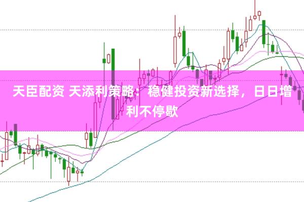 天臣配资 天添利策略：稳健投资新选择，日日增利不停歇