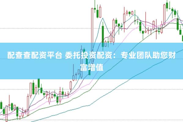 配查查配资平台 委托投资配资：专业团队助您财富增值