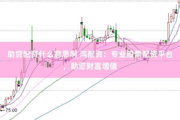 助贷配资什么意思啊 鸿配资：专业股票配资平台，助您财富增值