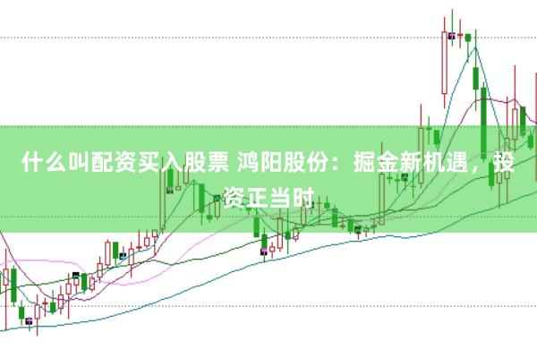 什么叫配资买入股票 鸿阳股份：掘金新机遇，投资正当时