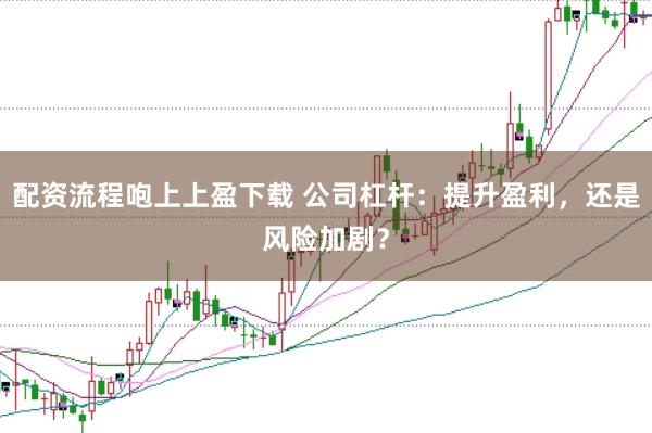 配资流程咆上上盈下载 公司杠杆：提升盈利，还是风险加剧？