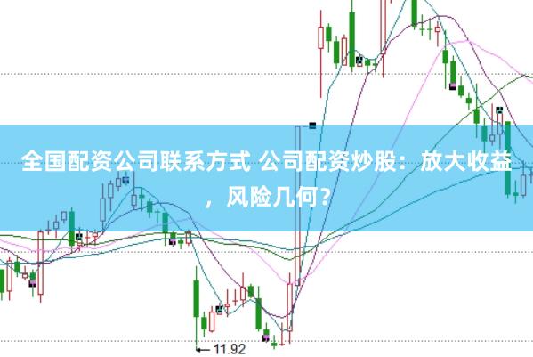全国配资公司联系方式 公司配资炒股：放大收益，风险几何？