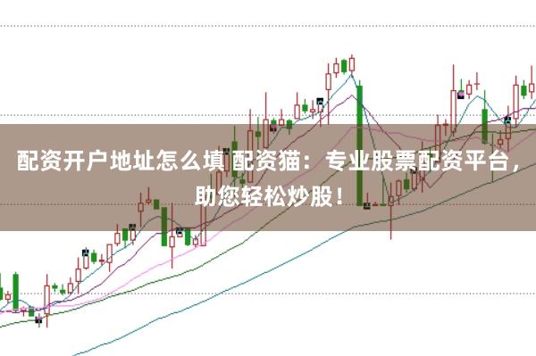 配资开户地址怎么填 配资猫：专业股票配资平台，助您轻松炒股！
