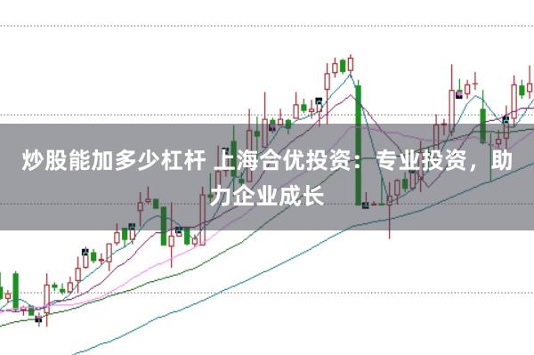 炒股能加多少杠杆 上海合优投资：专业投资，助力企业成长