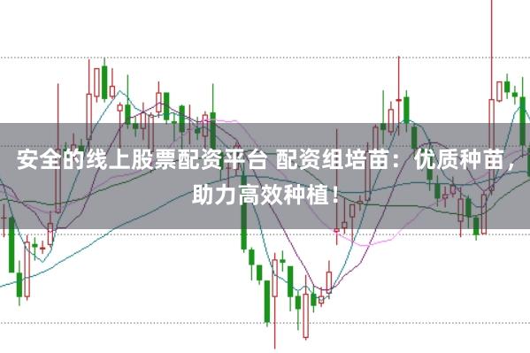 安全的线上股票配资平台 配资组培苗：优质种苗，助力高效种植！