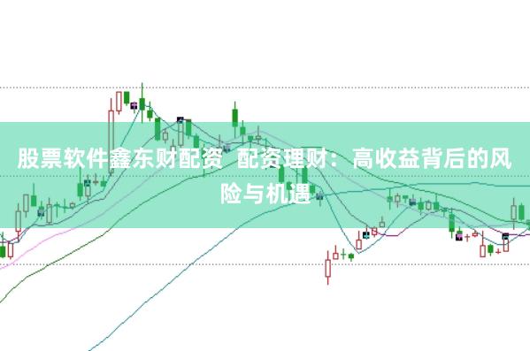 股票软件鑫东财配资  配资理财：高收益背后的风险与机遇