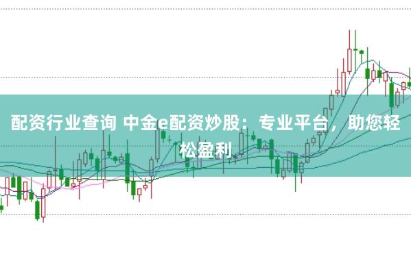 配资行业查询 中金e配资炒股：专业平台，助您轻松盈利