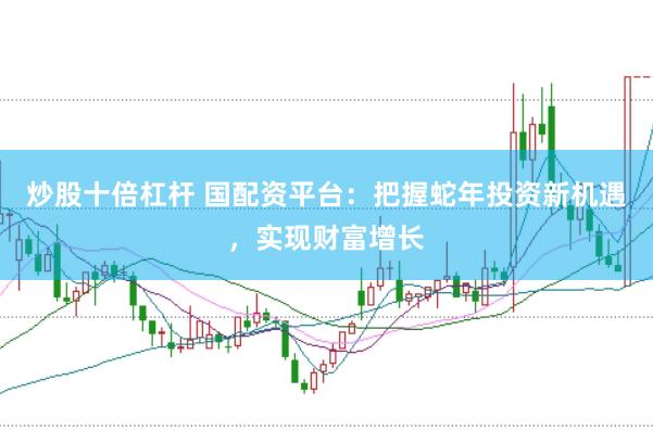 炒股十倍杠杆 国配资平台：把握蛇年投资新机遇，实现财富增长