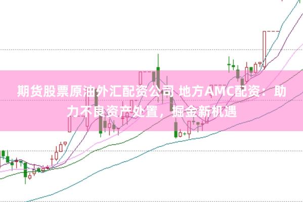 期货股票原油外汇配资公司 地方AMC配资：助力不良资产处置，掘金新机遇