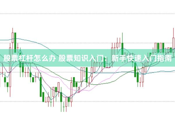 股票杠杆怎么办 股票知识入门：新手快速入门指南