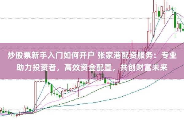 炒股票新手入门如何开户 张家港配资服务：专业助力投资者，高效资金配置，共创财富未来