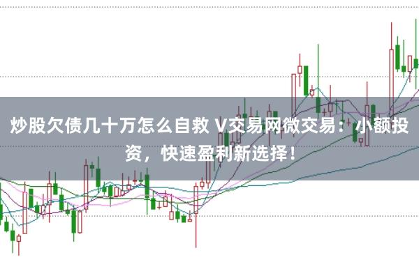 炒股欠债几十万怎么自救 V交易网微交易:小额投资,快速盈利新选择!