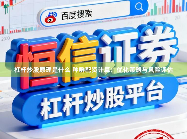 杠杆炒股原理是什么 种群配资计算:优化策略与风险评估